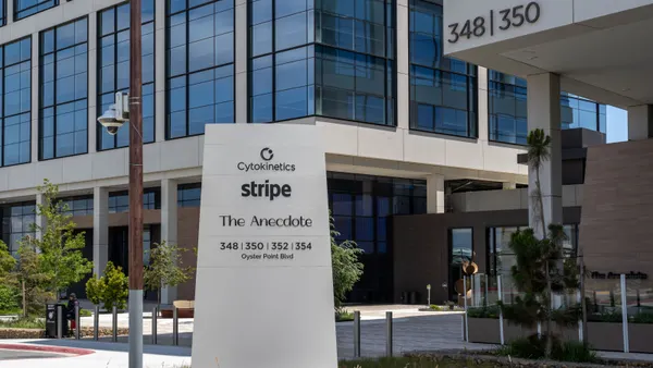 STRIPE IMAGE.webp